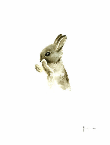 輕描淡寫的兔子 I水彩畫I
